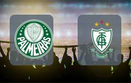 Palmeiras - America MG