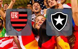 Flamengo - Botafogo RJ