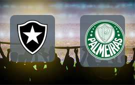 Botafogo RJ - Palmeiras
